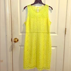 J Crew lace dress New Without Tags